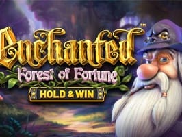 Enchanted Forest Of Fortune game thumbnail